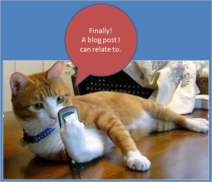 cellphone cat Wackiest Mobile Apps Ever