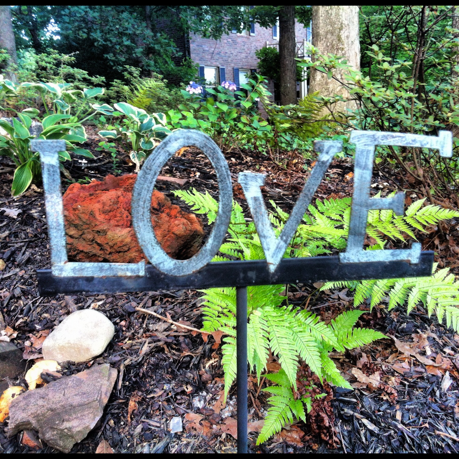 social media love social media love