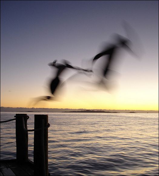 jump in social media fray