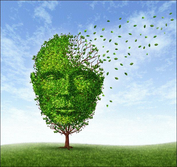 social media changes