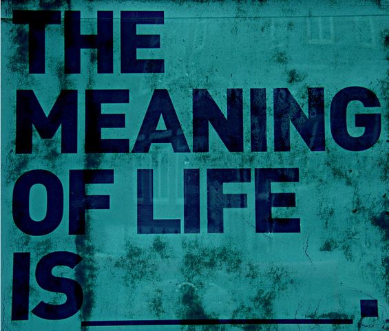 what is the meaning of life