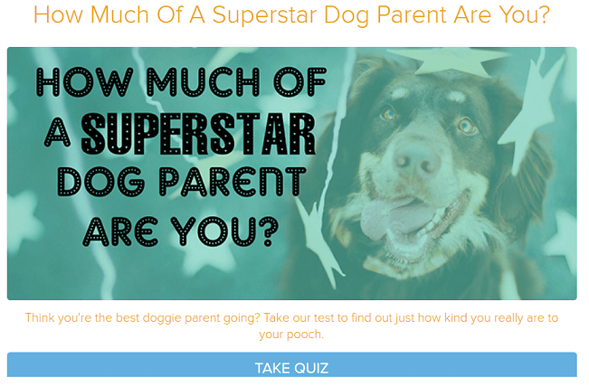 quizzes to generate leads