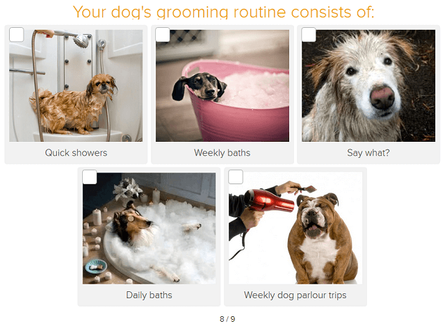 quizzes to generate leads