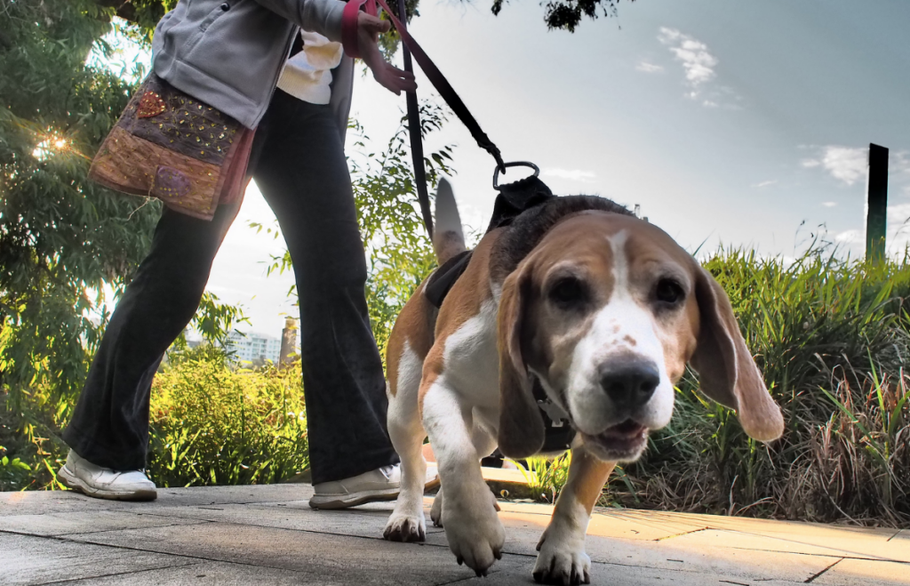 Screenshot 2016-07-31 11.02.44