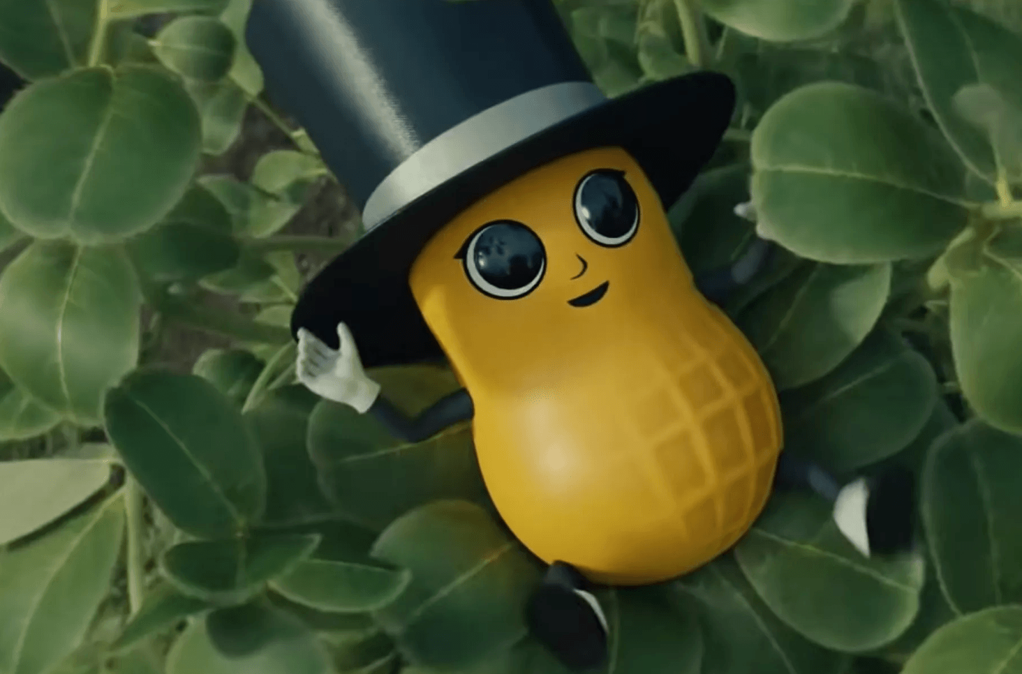 search marketing lesson