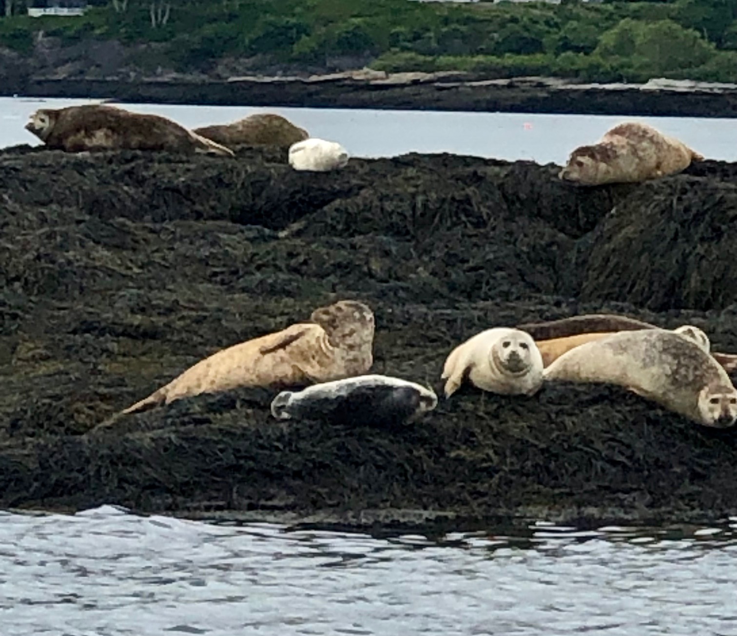 strategy development