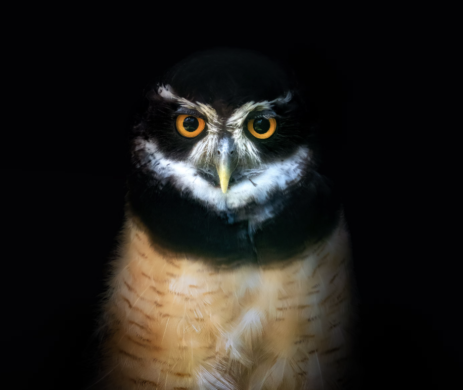 non-obvious social media trends