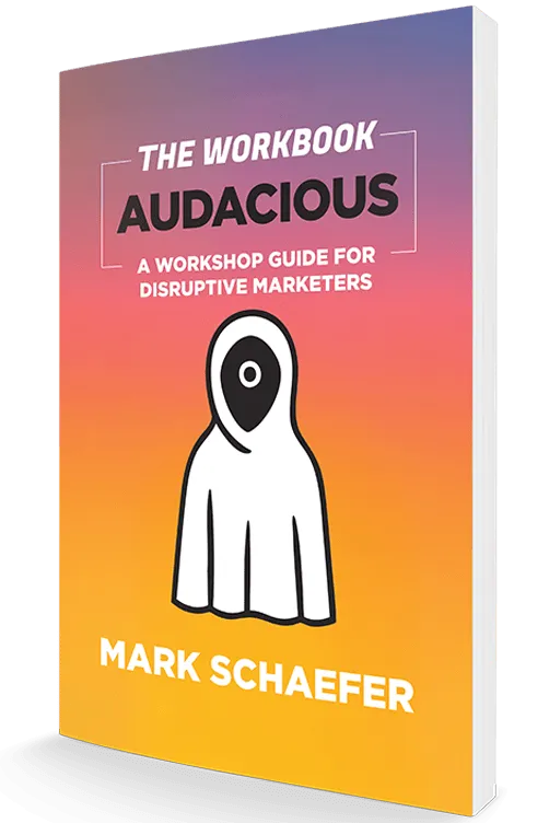 audacious-workbook_502x752